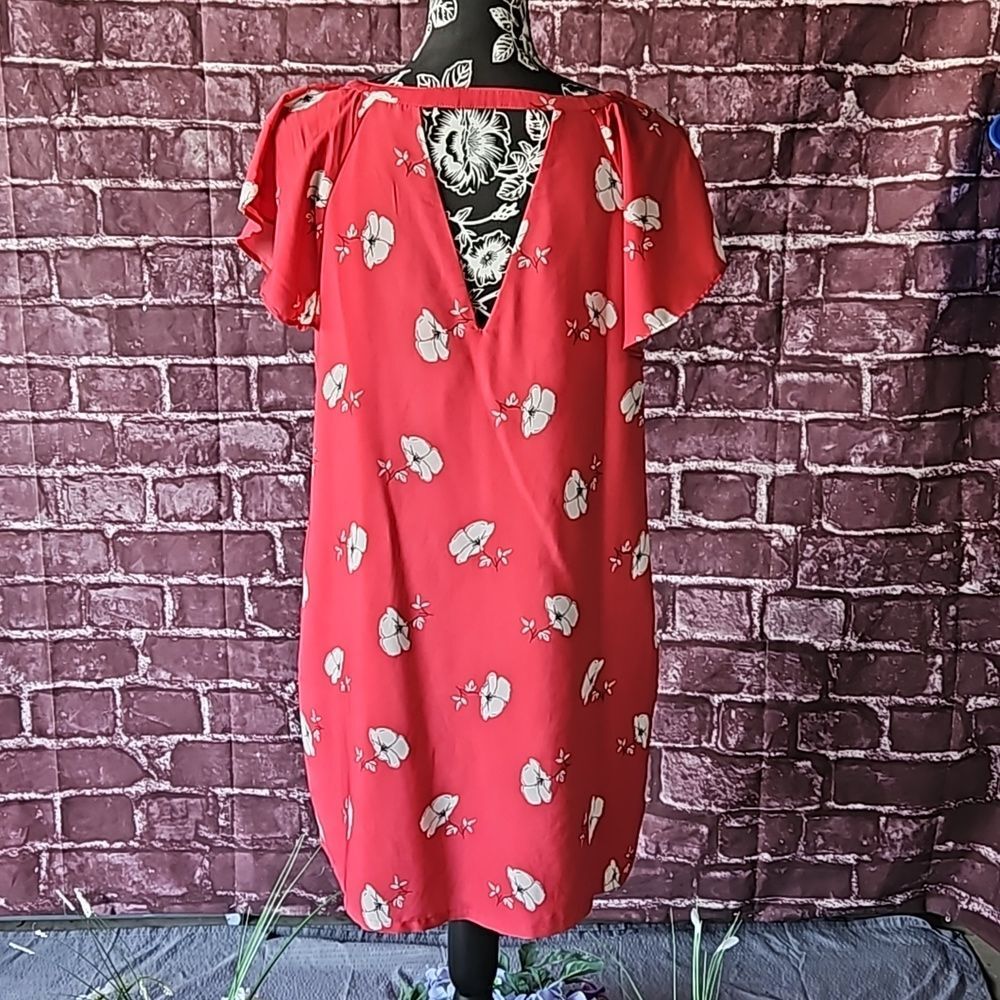 Abercrombie & Fitch Red & White Floral Short Sleeve Shift Dress CLEARANCE - Picture 4 of 7
